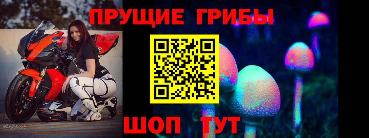 Галлюциногенные грибы Psilocybine cubensis  Галлюциногенные грибы Psilocybe  Каспийск  Вход с VPN 